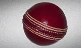 SS Practice Cricket Balls Set of 6 White/Red