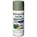 Rust-Oleum 7720830 Satin Enamels Spray, Sage, 12-Ounce