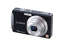 Panasonic Lumix DMC-FX500K 10.1MP Digital Camera with 5x Wide Angle MEGA Optical Image Stabilized Zoom (Black)