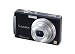 Panasonic Lumix DMC-FX500K 10.1MP Digital Camera with 5x Wide Angle MEGA Optical Image Stabilized Zoom (Black)