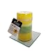 Yellow Daffodil and Daisy Scented Pillar Candle – 5″