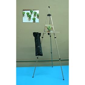 Lightweight Aluminum Easel with Travel Bag by TRIC