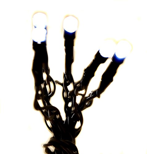 Childrens Toyshop  Kitchen & Housewares : Festive Battery Operated 10 White LED Lights