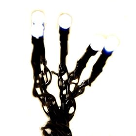 Festive Battery Operated 10 White LED Lights