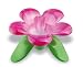 Koziol,Audrey 3231591 Pink Transparent Tea Strainer Designed Like A Flower, 5,31X5,31X3,62-Inch