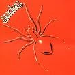 Spiders from Mars