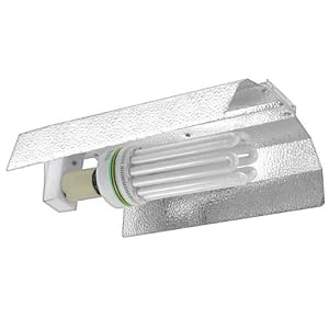 Buy Feliz 200 Watt CFL Grow Light 6500K with Reflector