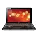 Compaq WH244UT Mini 102 10.1" Netbook (Intel Atom N270 Processor, 1 GB RAM, 160 GB Hard Drive)