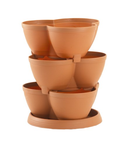 Childrens Toyshop  Outdoor Living : Botanico Strawberry And Herb Planter 3 Tier