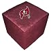 Tampa Bay Buccaneers NFL Team Logo Cube Ottoman