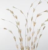 Fishtail Stems 36 in. Tall, Package of 12 - $19.99