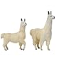 LLAMA by Noah's Pals