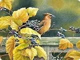 Tuftop Tempered Glass Kitchen Cutting Board, Artist Collection - Cedar Waxwing Small