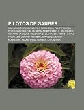 Pilotos de Sauber: Kimi Räikkönen, Giancarlo Fisichella, Felipe Massa, Pedro Martínez de la Rosa, Nick Heidfeld, Andrea de Cesaris (Spanish Edition)