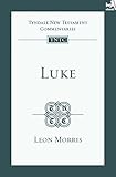 Luke : an introduction and commentary