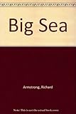 The big sea