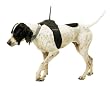 Astro Harness