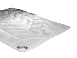 Badenia Bettcomfort 03649620154 4-Jahreszeiten-Steppbett Irisette Dreams 200 x 200 cm wei&szlig;