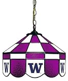 Washington Huskies 14