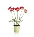 (03931004) Artificial Daisies in Pot in Household & Kitchen