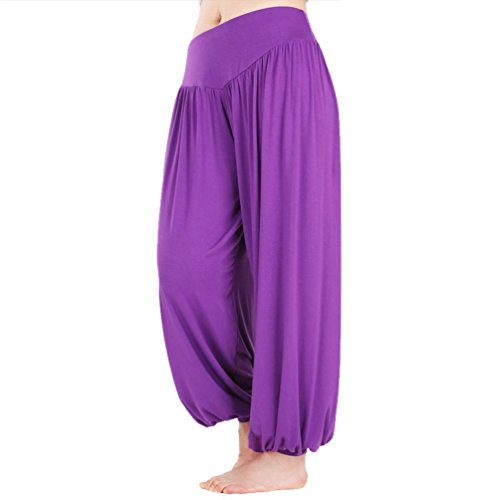Taiycyxgan Super Soft Nylon Spandex Harem Yoga/ Pilates Pants (XL, Purple) [Apparel]