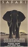 Serengeti by Steve Forney,21.9 in. x 36 in.