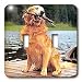 Dogs Golden Retriever - Golden Retriever - Light Switch Covers - double toggle switch