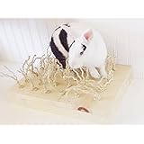 Sisal Carpet Chewing and Digging Station Rabbit Accessories