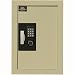 Mesa Safe Company Model MAWS2113E Electronic Wall Safe, Cream