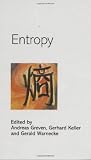 Entropy (Princeton Studies in Applied Mathematics)
