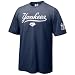 Nike New York Yankees Navy Blue Youth 2008 Practice T-shirt