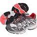 XT Wings GTX W Aluminum/Autobahn/Pale Cherry 40 2/3