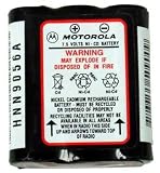 Cellular Phone Battery
