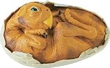 416kG7wycpL. SL160  Safari LTD Oviraptor in Egg
