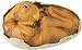 Oviraptor in Egg (Dino Discoveries)