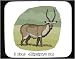 Decorated Mouse Pad with deer, animal, waterbuck, africa, ellipsiprymnus, horn, kobus...
