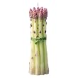 Asparagus Bunch Candle form Point a la Ligne