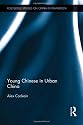 Young Chinese in Urban China (Routledge Studies on China in Transition)