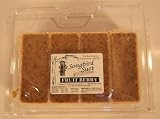 Songbird Cedar Suet Plugs - Fruit and Nut - B001BO8G6Y