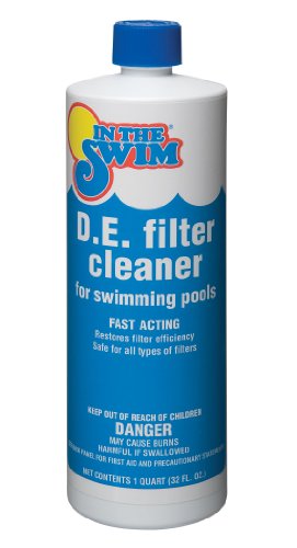 In The Swim DE Pool Filter Cleaner 1 qt