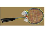 2 Player Badminton Set