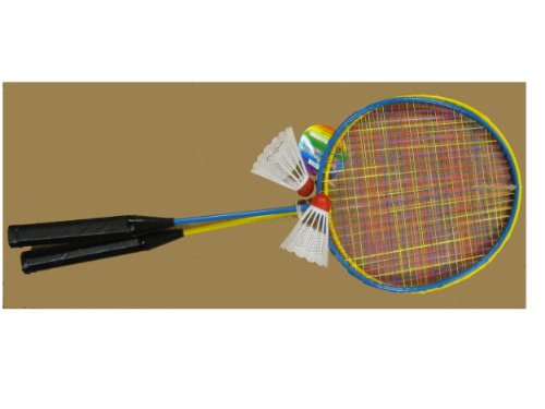 2 Player Badminton Set