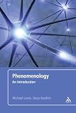Phenomenology: An Introduction