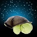 New Twilight Turtle/Ladybug Star Night Light Nightlight