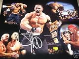 JOHN CENA AUTOGRAPHED SIGNED INCREDIBLE 16X20 MONTAGE PHOTO POSTER PICTURE (WRESTLING)