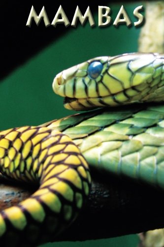 Mambas (Zoo Kids)