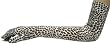 Extra Long Leopard Stretch Fit Nylon Gloves