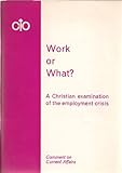 Work or what? : a Christian examination of the employment crisis