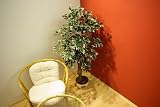 Ficus Echtholzstamm Kunstpflanze Kunstbaum 150cm gw