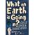What on Earth is Going On?: A Crash Course in Current Affairs